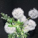 장기로 | 인천공항 장기주차장 요금 가성비 예약 후기