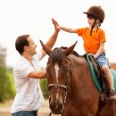 형제유리산업 | 《2026 제주 학생 승마 지원사업》신청방법 총정리 (제주시 초중학생, 비용·일정·당첨 꿀팁)
