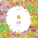 콩알