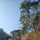 푸른숲식당 이미지