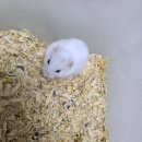 난향초등학교 이미지