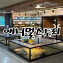 내서읍1320 | 마산 아이랑 가볼 만한 곳 실내데이트 미니동물원 애니멀스토리