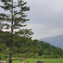 뜨란정