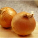 양파모텔 이미지