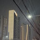 경양초교 | 광주 운암자이포레나 야간 점등 현장 실물 느낌