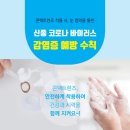 안경천국콘택트 이미지