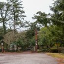 힐링기체조 | 60대 부부 제주 힐링여행지 (비자림, 오조리, 제주한방힐링센터)