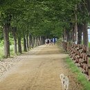 미사뚝방산책로 이미지