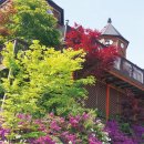 숲속의요정 이미지