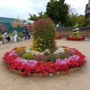 인천 계양아라온 이미지