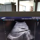 메디넷114 이미지