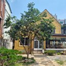 용산-현장-556 이미지