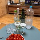 월오포레스트 이미지