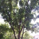 두아름농장 이미지