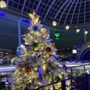 보물섬어린이집 | 롯데월드 연간이용권 1년 이용 후기와 경험자의 꿀팁