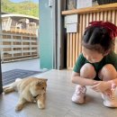 밀신어린이집 | 밀양 카라반 펜션 아이랑 숙소 탐스팜카라반파크