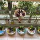 동화동주민센터 이미지