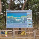 등명해변 이미지