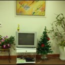 영동 가족형 펜션 이미지