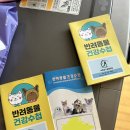 웰니스동물병원(롯데월드점) | 내돈내산 광고 x) 송파 잠실 양심적인 동물 병원 추천! / 병원 진료 후 꿀팁 공유 🐾