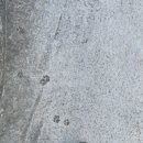 매죽보건진료소 이미지