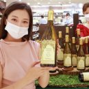 파니엔테 파이낸셜뉴스
