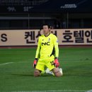 약속의 땅 데일리스포츠월드