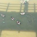 내양경로당 이미지