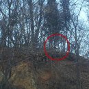 성호농원 이미지