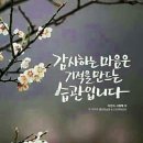 열린타이어카센타 이미지