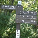 지리산(백무~한신계곡~세석~남부능선~삼신봉~청학동) 이미지