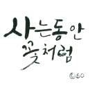 사는동안꽃처럼 이미지