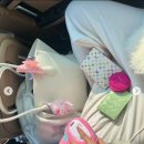 HEEJOO.COM 이미지