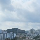 정우크리닝 | 천안 유리창 청소_내돈내산 추천(콩깍지 클리닝)_뒷이야기