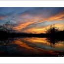 창녕 우포늪 이미지