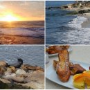 라호야(LA JOLLA) 이미지