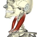 BODY MAKER 이미지