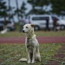 수리농장 이미지