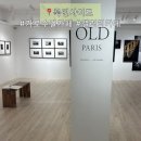 가로수길카페 룩인사이드 무료관람 전시 갤러리 데이트 후기