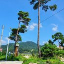 지리산나들락마을 이미지