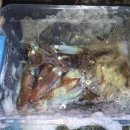 송도해수피아 이미지