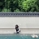 호시가 | [영천] 한 팀만을 위한 프라이빗 풀빌라 ' 호시가 풀빌라 ' . with . 브라이덜 샤워 소품 대여 '도노오브'