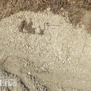 군위골재 이미지