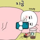 카툰플러스 이미지