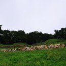 삼척 공양왕릉 안내표지판의 일부 내용이 수정되었습니다.(개성왕씨) 이미지