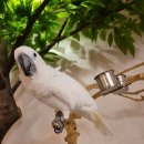 직동2길 이미지