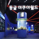 광명동굴 (코끼리차 주차장) 네이버블로그