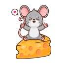 [07] 11/1 ~ 11/10일의 쩨리네 일상🐭