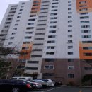 하단동167 이미지