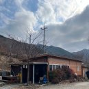 지리산하늘펜션 | [경남/하동] 하동 감성 촌캉스 지리산흙집풍경 펜션 벚꽃방